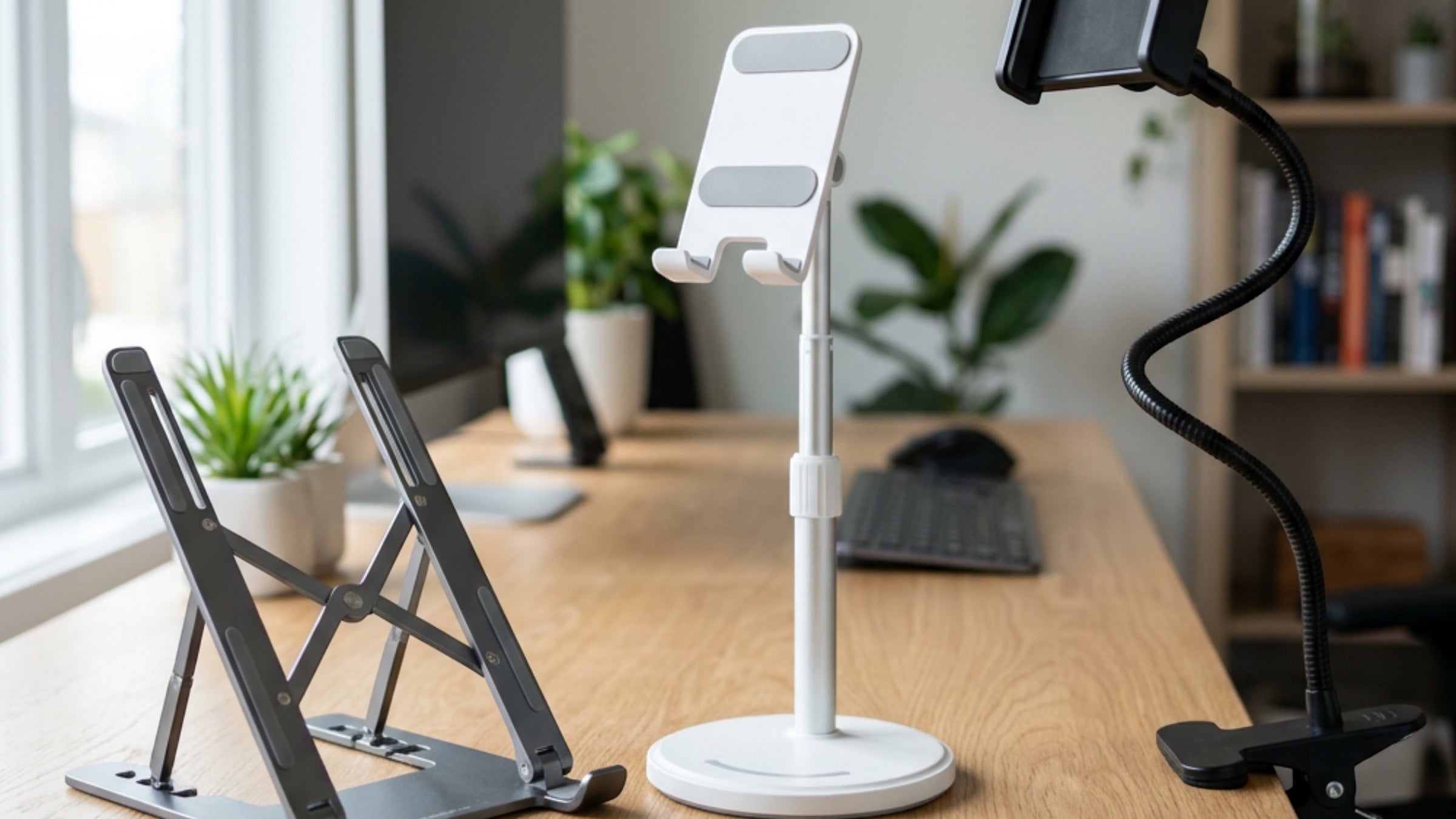Cenly Phone Stands